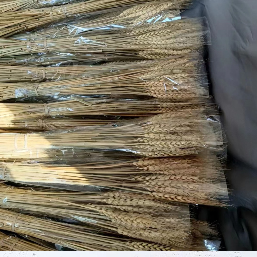 Dried Flower Bulk - 50 szt. Sztuczne kwiaty, naturalne suszone