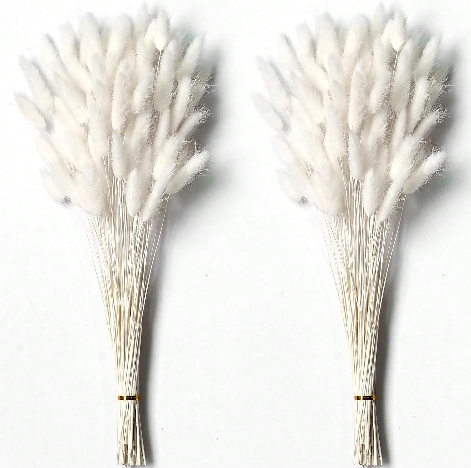 Dried Flower Bulk - 120 SZT. Suszone Kwiaty Pampas Grass