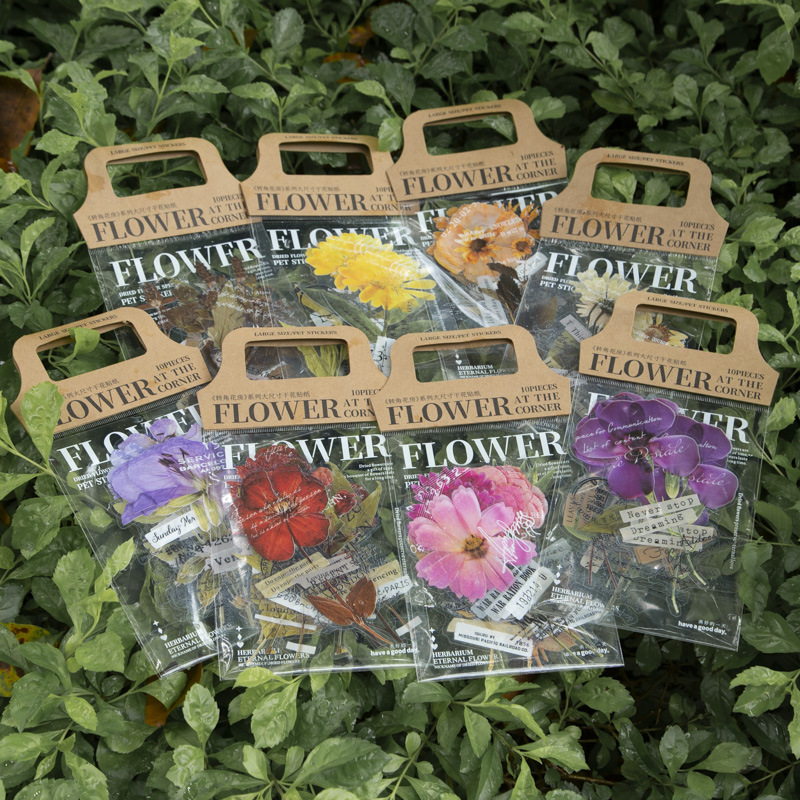 10 szt./opak. Naklejki z serii – Dried Flower Bulk recenzja i cena