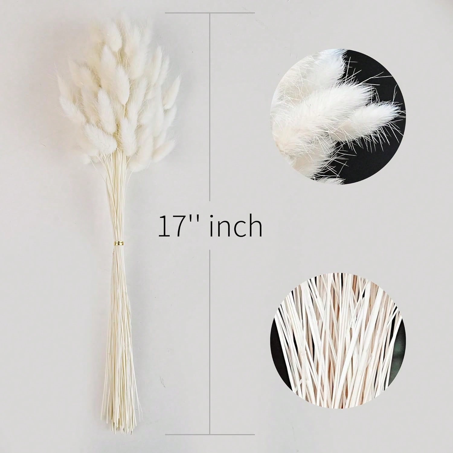 120 SZT. Suszone Kwiaty Pampas – Dried Flower Bulk recenzja i cena