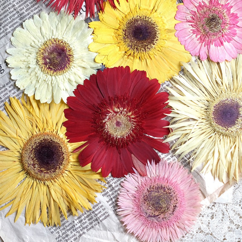 1 szt./7-9 cm, Suszone kwiaty  – Resin Craft Ideas recenzja i cena