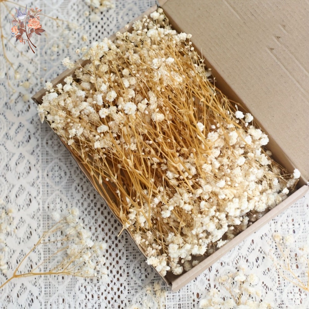 100 szt. Mini Suszone Kwiaty G – Resin Craft Ideas recenzja i cena